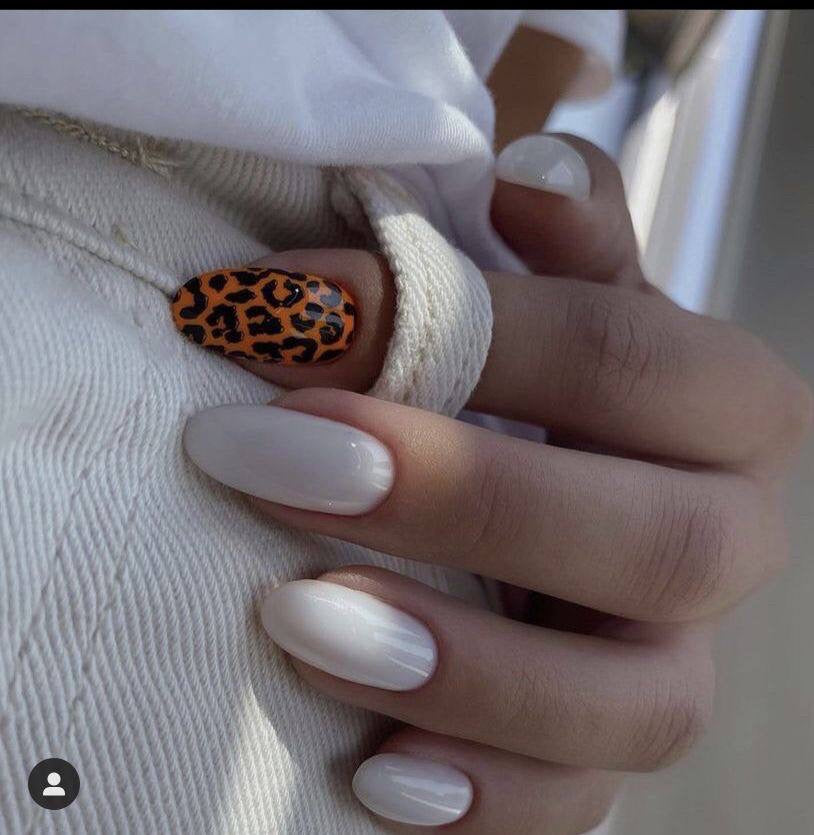 Hard Gel - White 30 ml