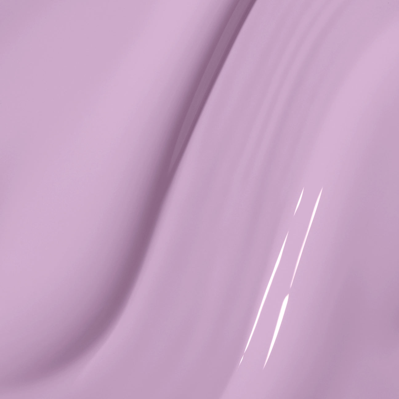 Gel Couleur - Aster Family
