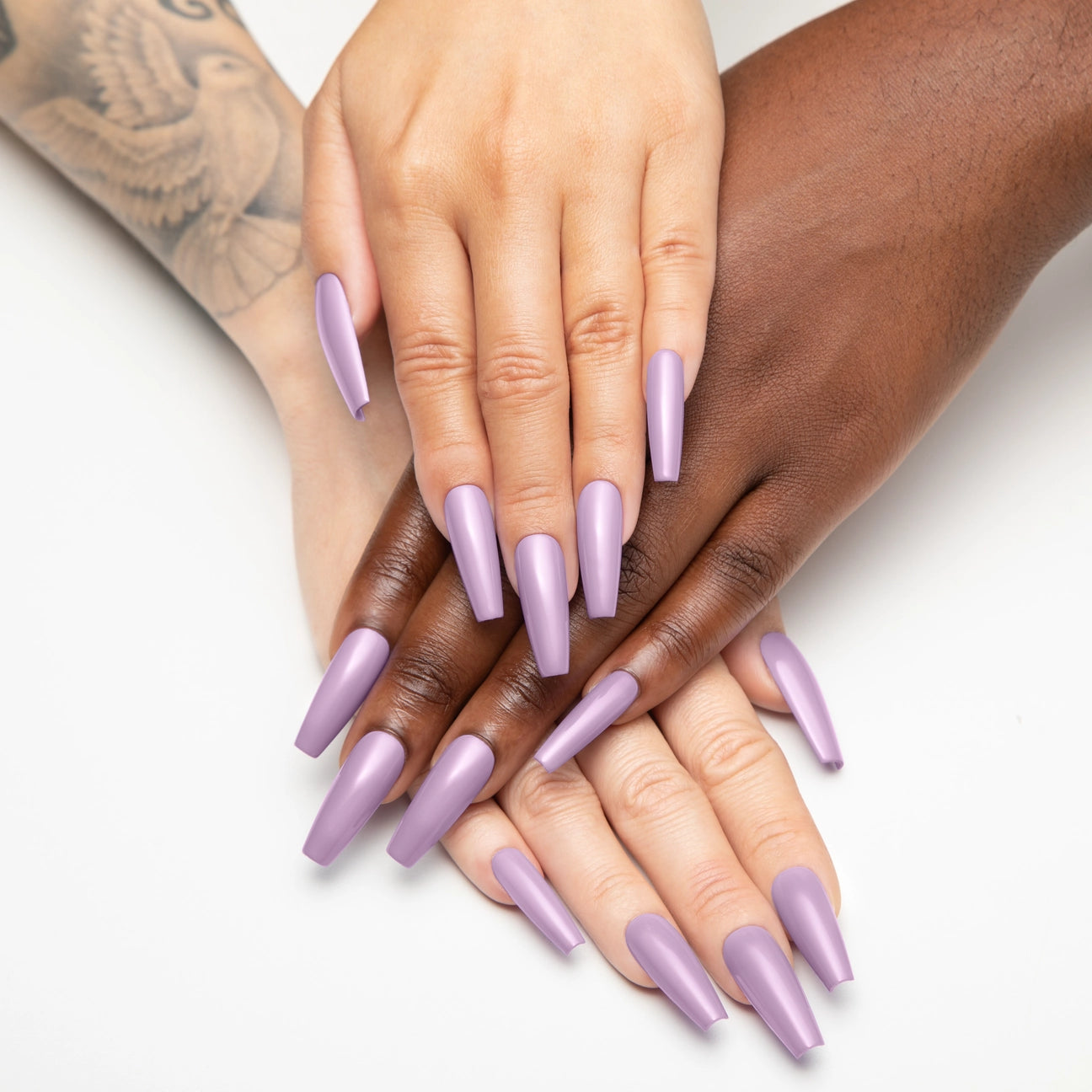 Gel Couleur - Aster Family