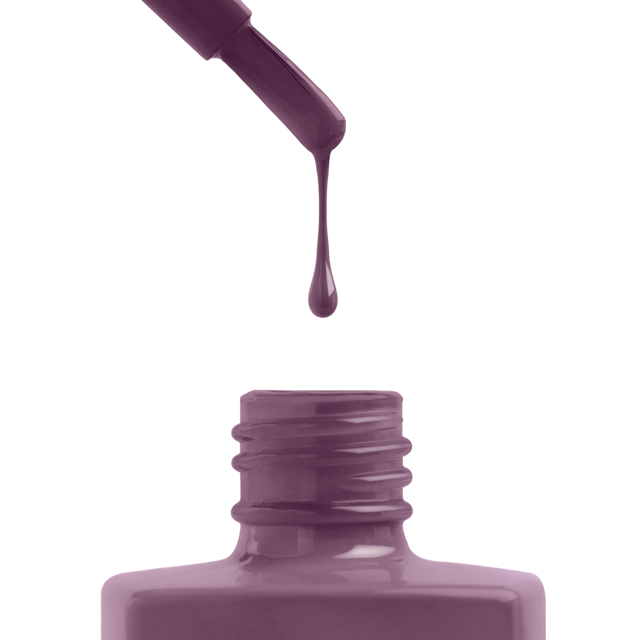 Gel Couleur - So Jelly Jelly