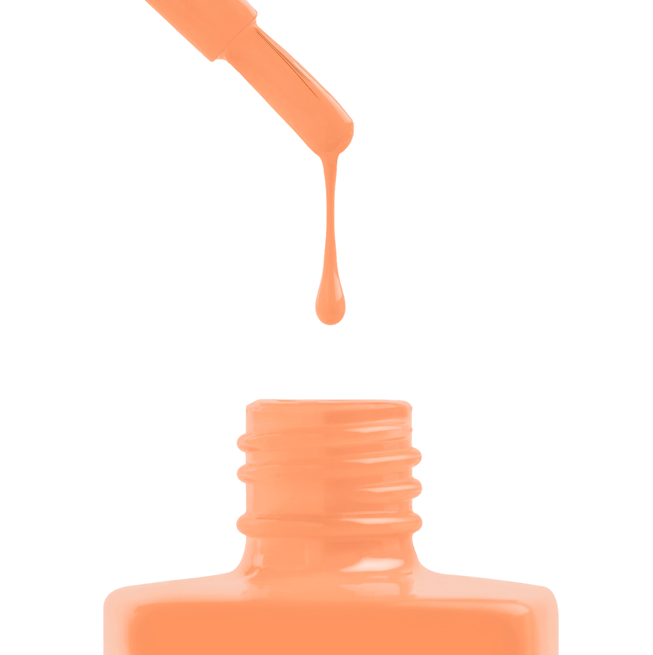 Gel Couleur - Electric Starfish