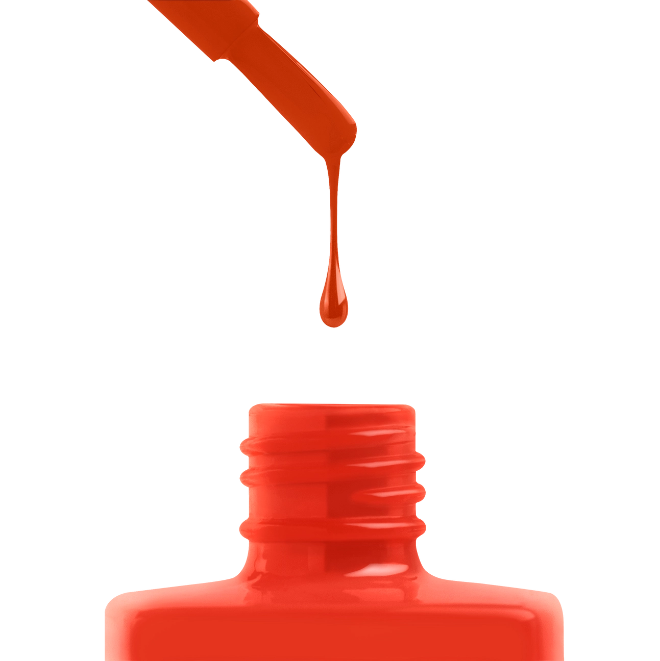 Gel Couleur - Prawn Queen