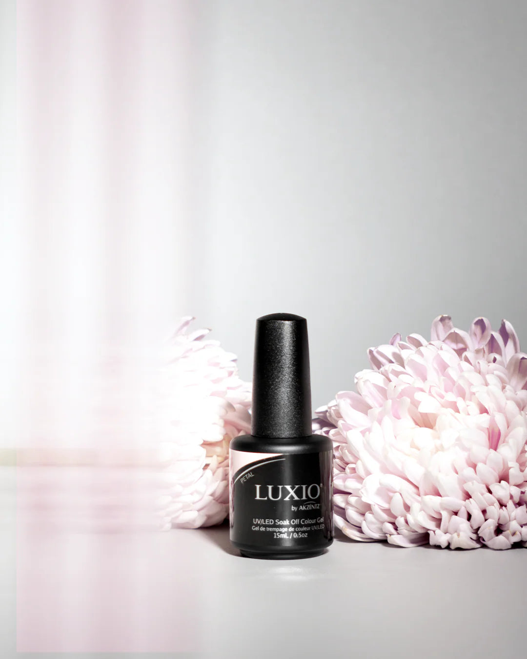 LUXIO - PETAL