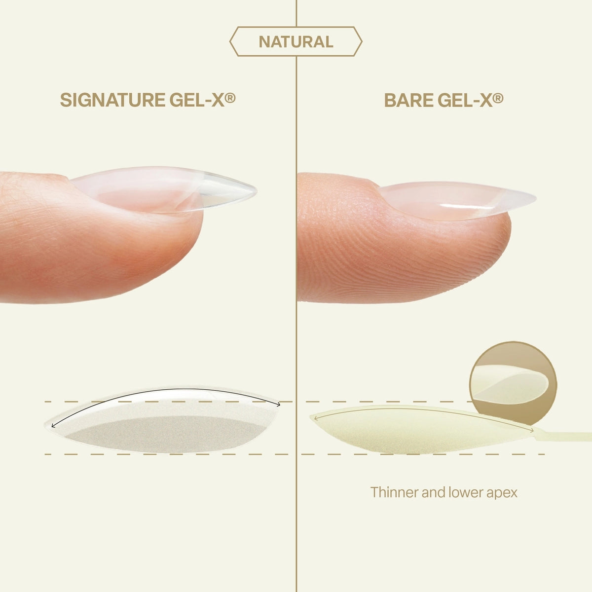 Aprés Bare Gel-X Natural Box of Tips 16 Sizes 280pcs
