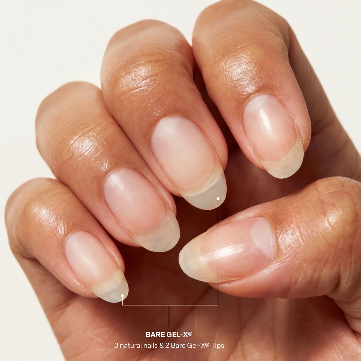 Aprés Bare Gel-X Sculpted Box of Tips 16 Sizes 280pcs