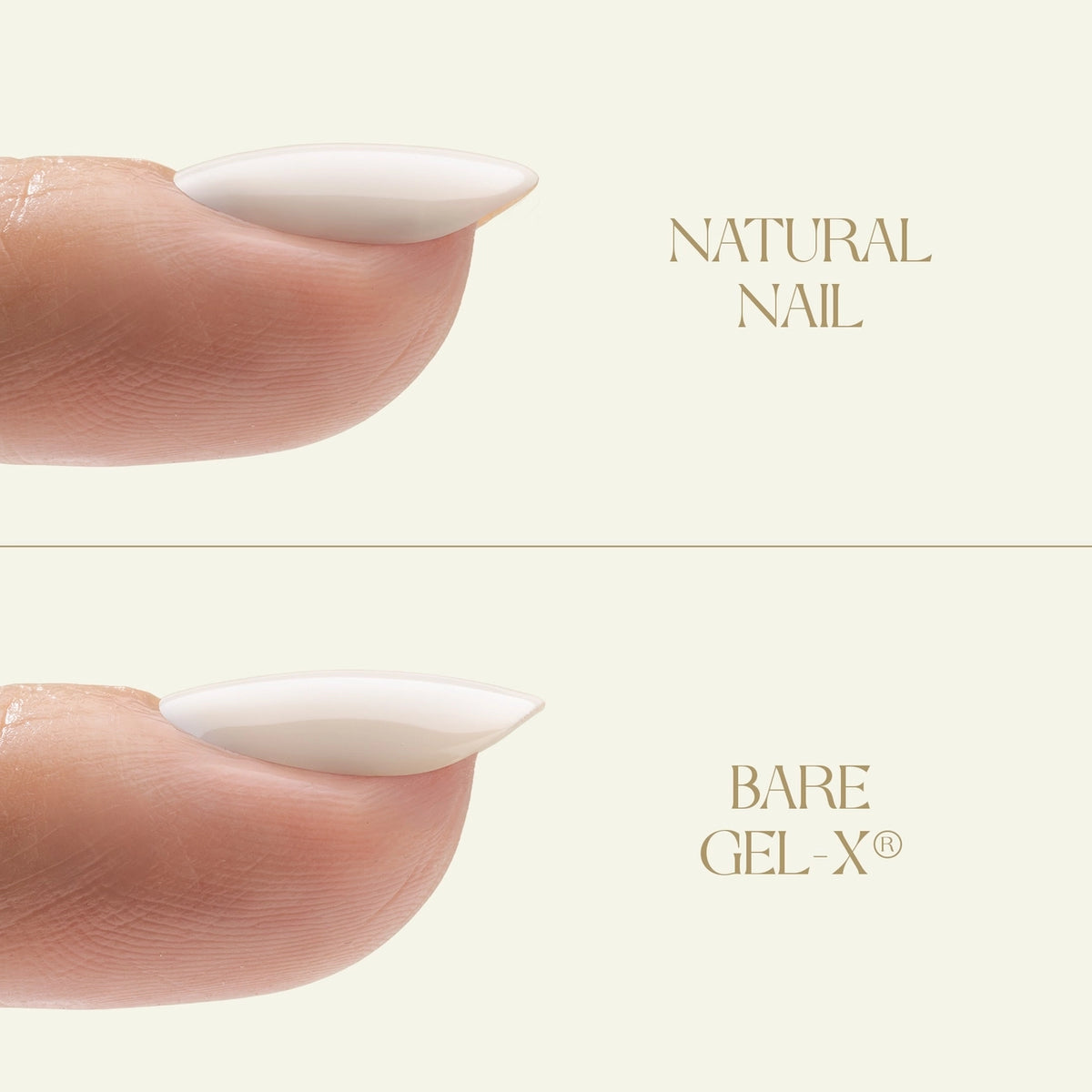 Aprés Bare Gel-X Sculpted Box of Tips 16 Sizes 280pcs
