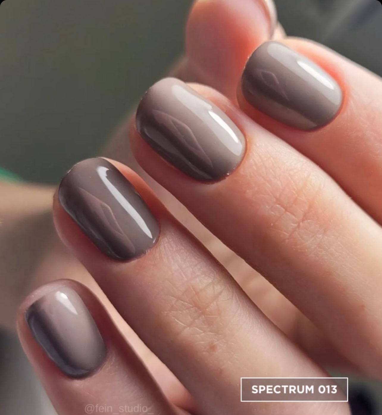 F.O.X Spectrum 013 - F.O.X Nails USA