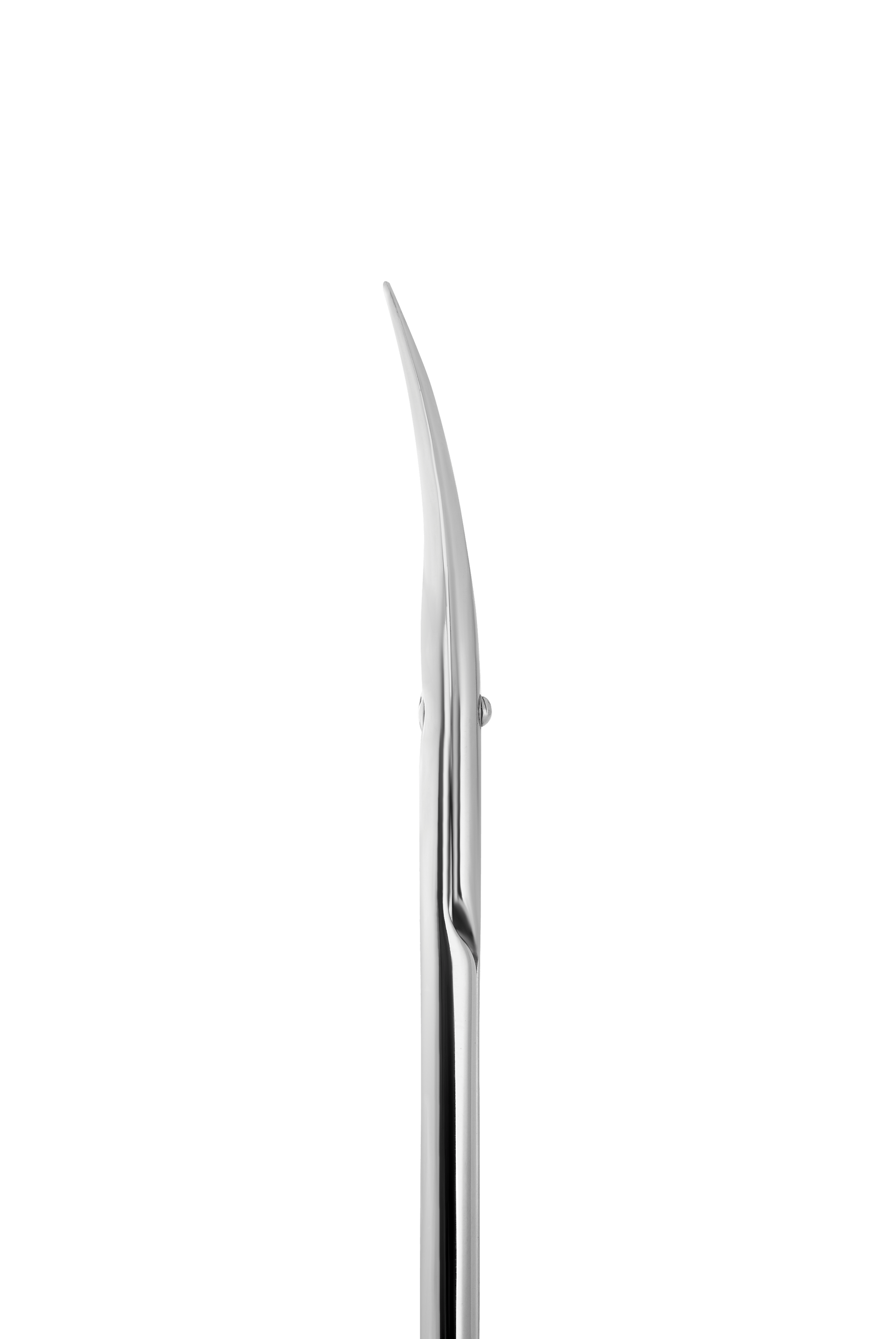 Staleks Professional cuticle scissors EXCLUSIVE 20 TYPE 1 (magnolia) - F.O.X Nails USA